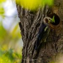 영천시화북면보건지소 이미지