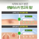 코스모스카 이미지