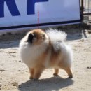 이천공설운동장 이미지