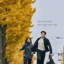 은수