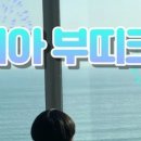 부띠크 엘리시아 이미지