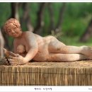 사랑의연못 이미지