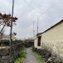 옹포소녀 이미지