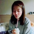 와이알유통 이미지