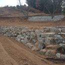 밤나무골 농장 이미지