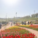 성덕세천 이미지