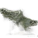 3 Hand gym 이미지