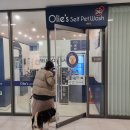 올리스 남양주별내점 이미지