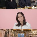 피메이트 이미지