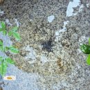 자갈치브라더스 홍성내포점 | [홍성내포맛집]자갈치 브라더스 홍성내포점