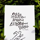 선지그리다
