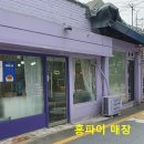 홍파이