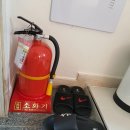 가평남이섬투투스파펜션 이미지