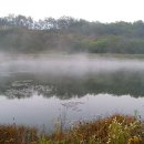 안동중학교와룡분교장 이미지