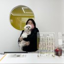 윤그루밍 이미지