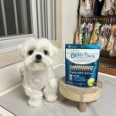 이미지덴탈 이미지