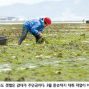파르라니