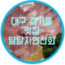 달달자연산회 이미지