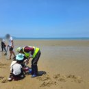 청포대 별주부 이미지