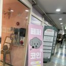 페퍼코인노래연습장 이미지