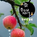 늘좋은날 - 홍성군 | 늘좋은날