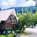 지리산안길펜션 | 산청가족펜션 산청펜션 추천 지리산계곡 물놀이 가능한 지리산폭포펜션 숙박후기