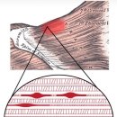 플레이 돔 이미지