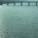 스피치 트레이닝 | 숨고 스피치 트레이닝 원데이 클래스 후기