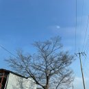 영산정사 성보박물관 | 밀양 가볼만한곳 여행 코스 영산정사,황금와불,성보박물관,영남루,무봉사