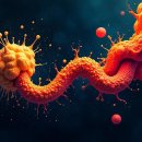 호라 | 호라사밀 카무트 처음 먹은 후기