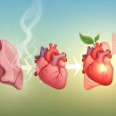 금연 후 신체 변화, 20분 뒤 혈압 정상화부터 폐암 위험 감소 이미지