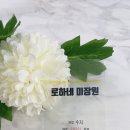 로하네 미장원 이미지
