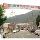 자등 3리 티스토리
