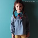 벌룬플라워 이미지