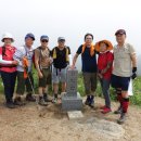 새일목장 이미지