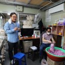 대교강냉이 이미지