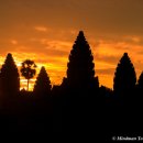 (주)여명 이미지