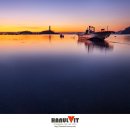 사궁두미 이미지