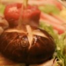 목화실비 이미지