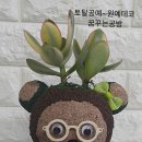 토탈데코