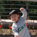 킨더하바어린이집 이미지