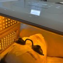 3257 | 울산 남구피부관리 물광윤곽 안티에이징 관리 받은 후기 비앙리에