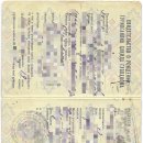 신다문화행정사 이미지