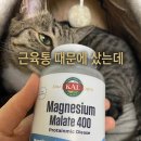 말산 마그네슘(말레이트) 3개월 후기｜운동 후 알배김과 근육통이 줄어든 이유