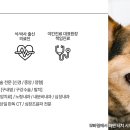 리움 동물의료센터 이미지