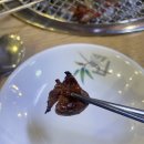 신정희 숯불닭갈비 | "신정희춘천숯불닭갈비 부천본점, 막국수, 닭갈비 후기"