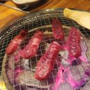 토종한우암소