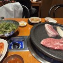 운종 | [스쿼시] Squash in yeongnam 새싹대회 2회 스린이 참가 후기 (스쿼시 인 영남)