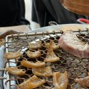 여우화로 이미지