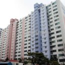 국화한신 이미지